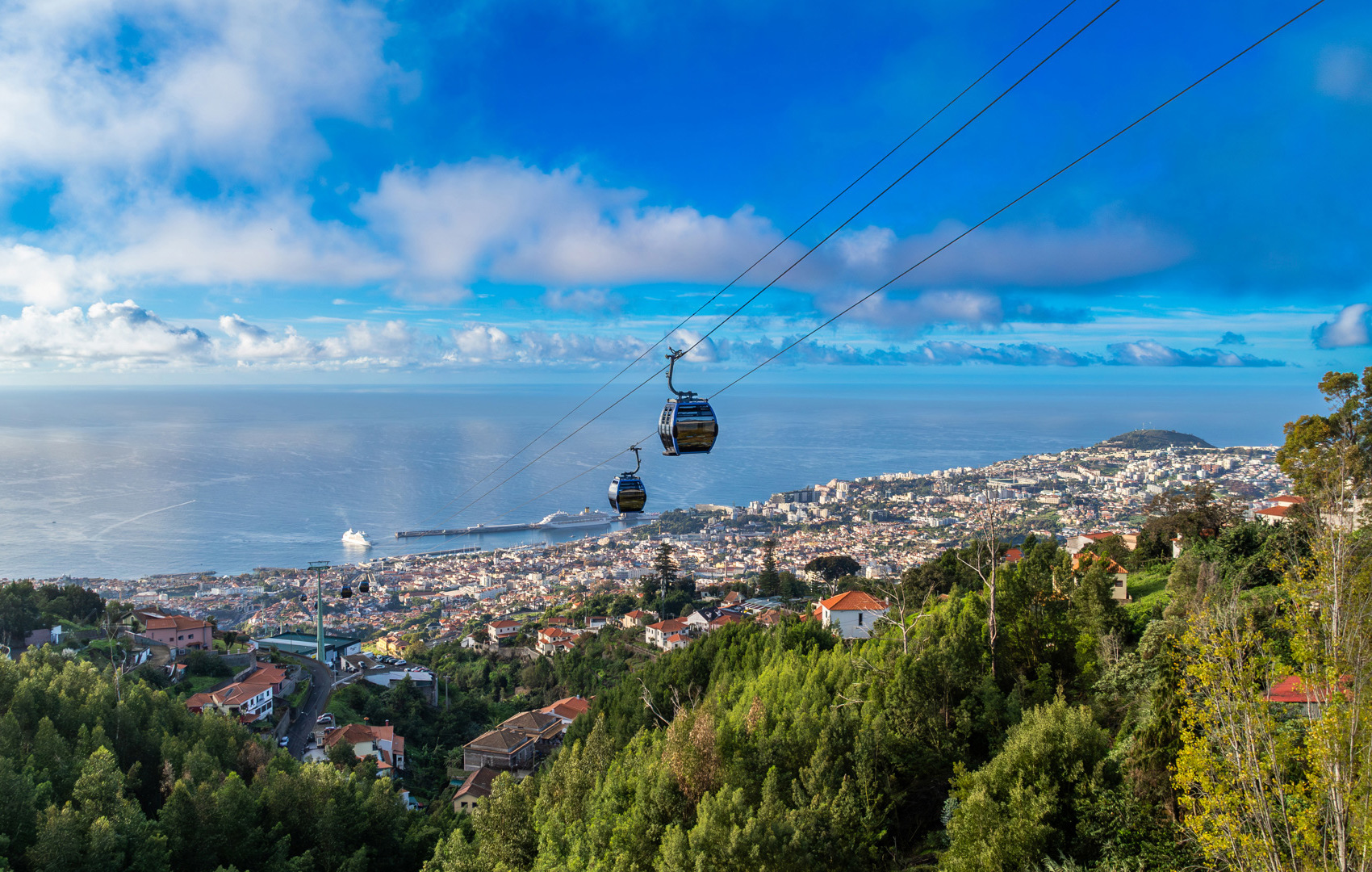 Madeira Cable Car 2024 45 (2)