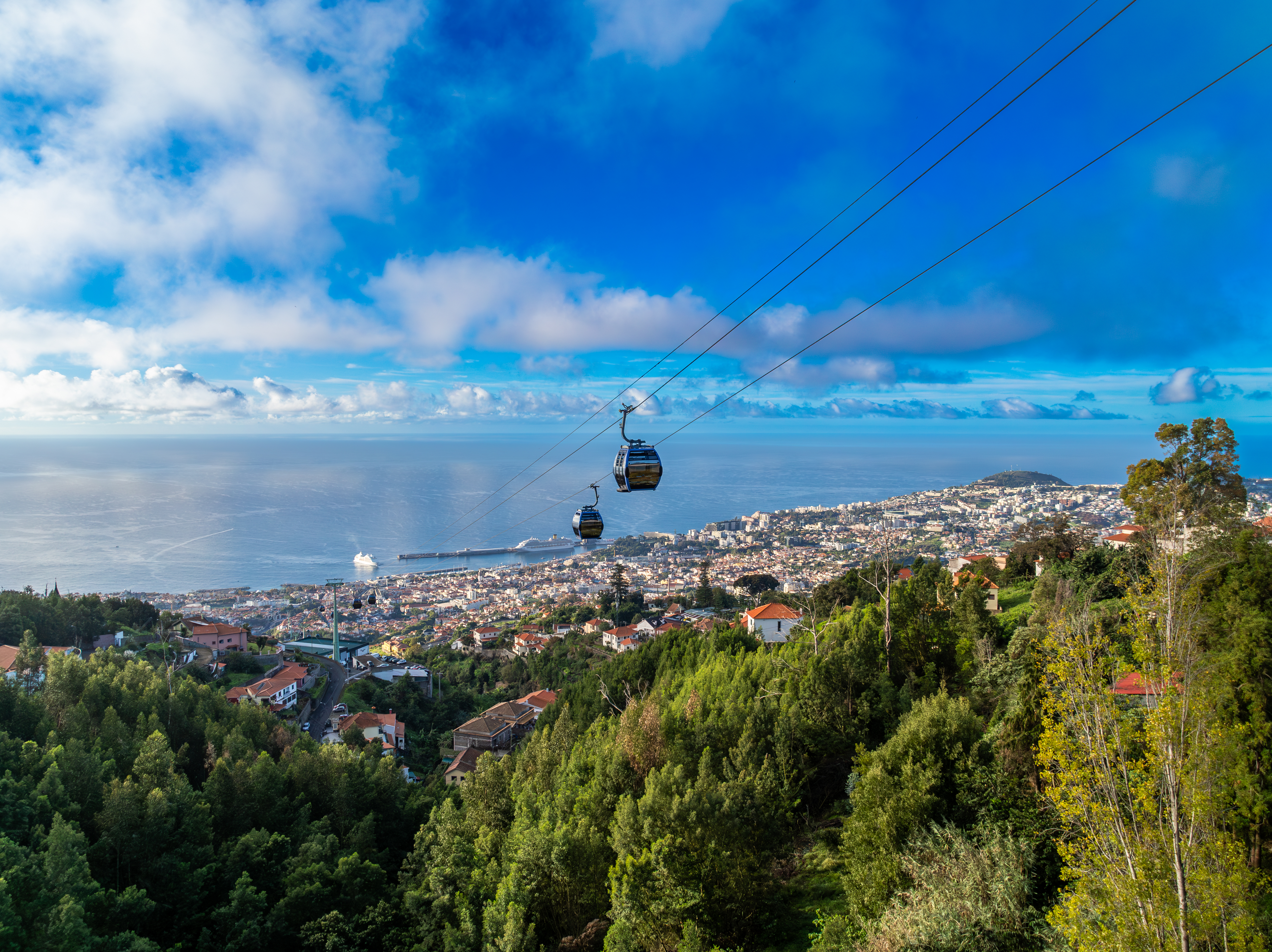 Madeira Cable Car 2024 45 (1)