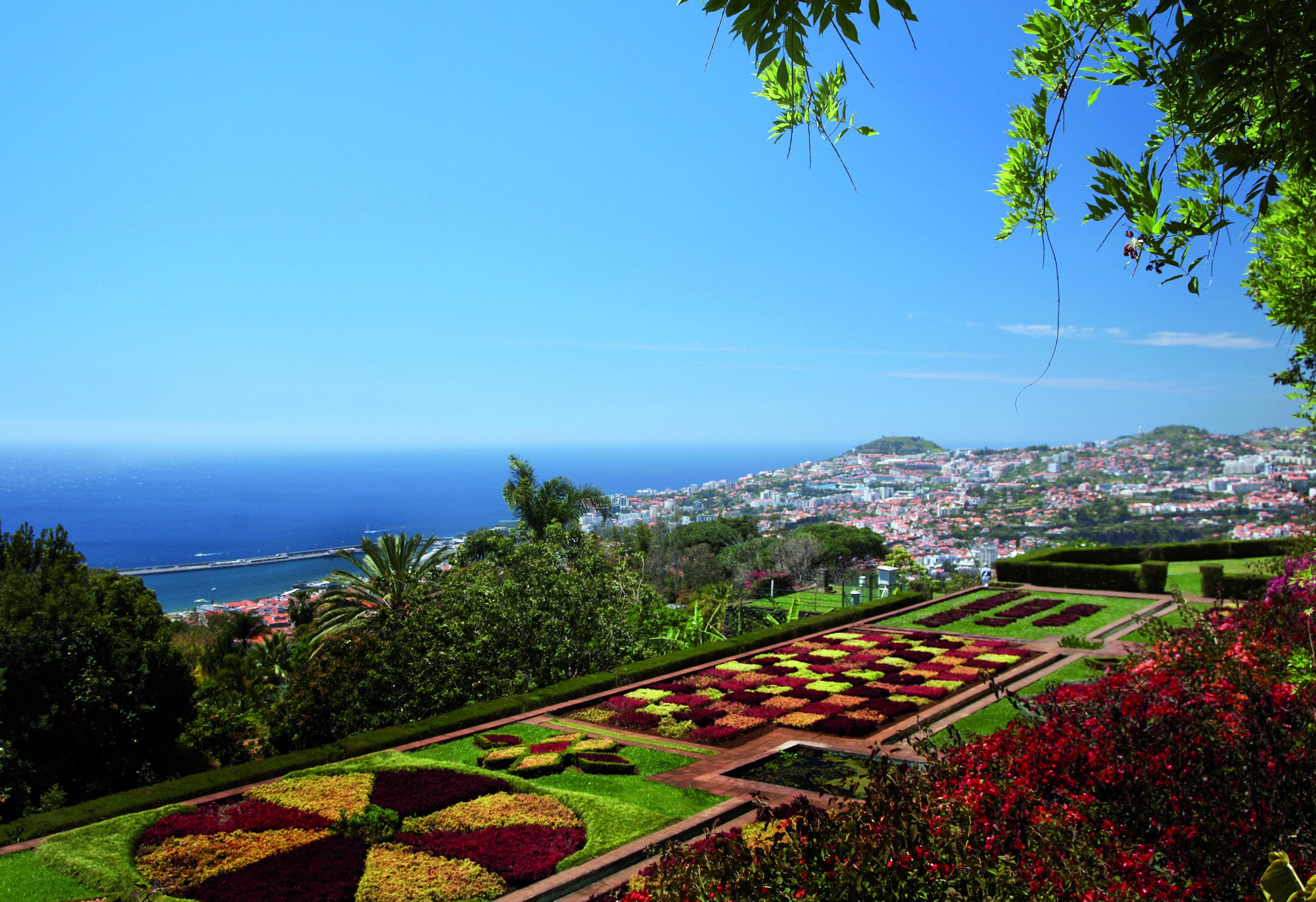Jardim Botanico Turismo Da Madeira