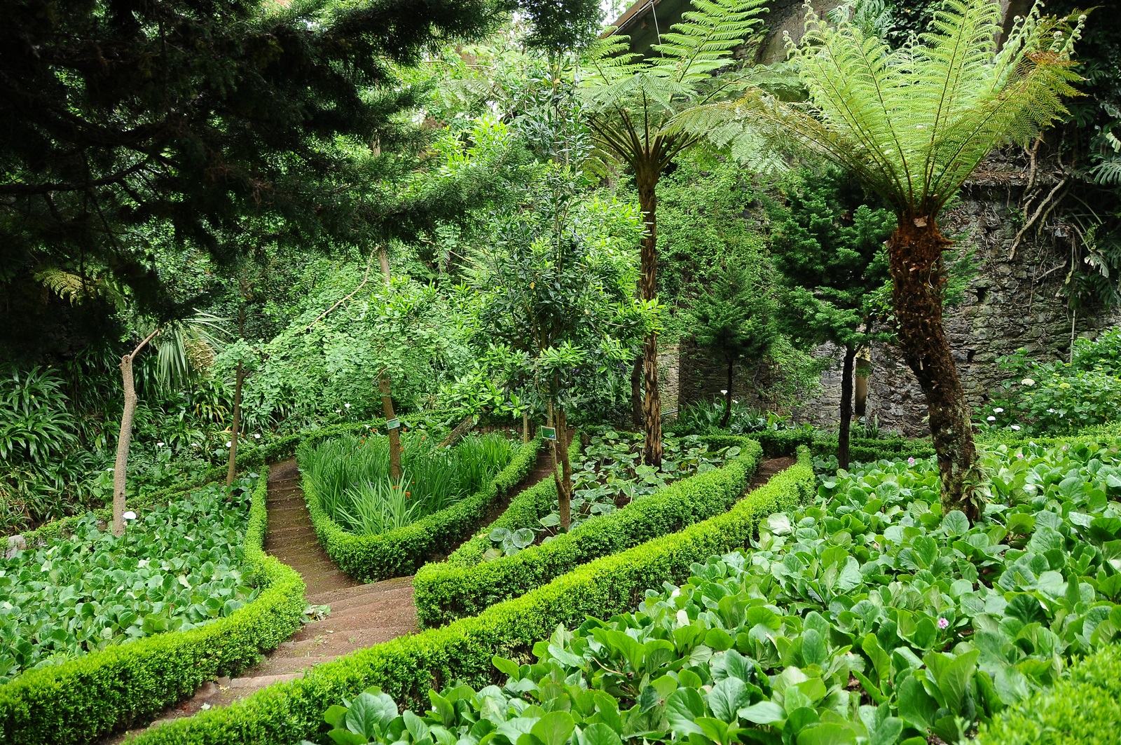 Parque Leite Monteiro 1